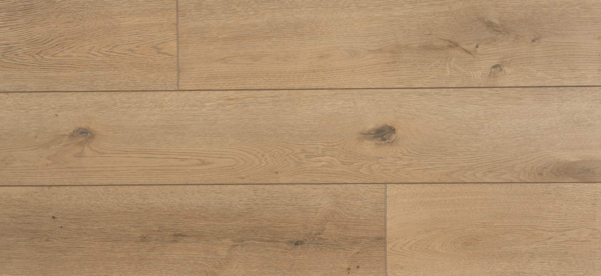 sol vinyle COREtec 5mm, chêne 50-RLV-1213